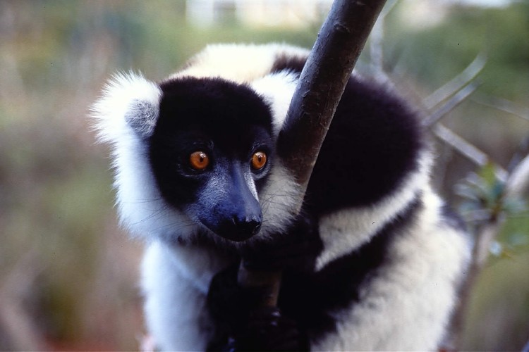 �G���}�L�L�c�l�U��