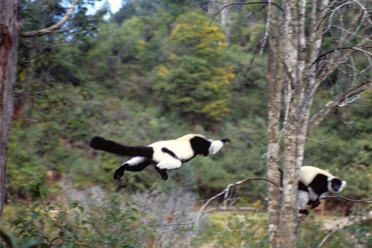 �G���}�L�L�c�l�U��