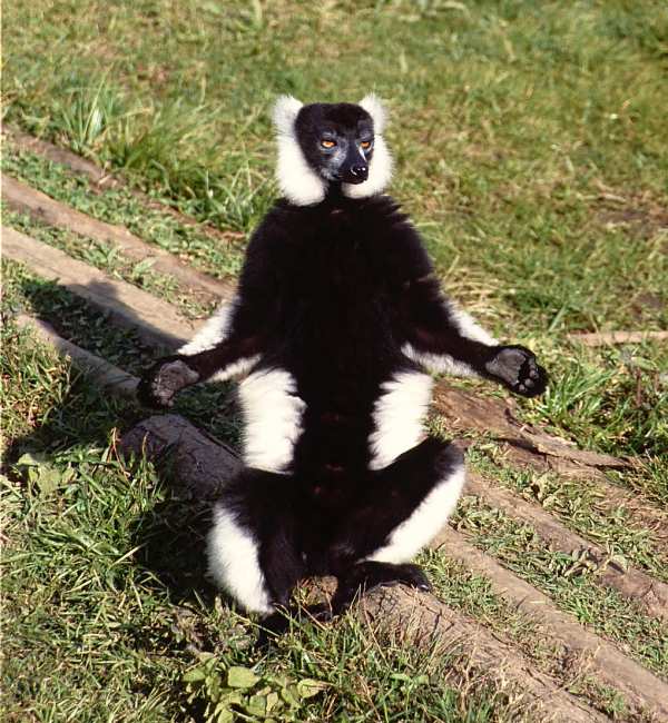 �G���}�L�L�c�l�U��