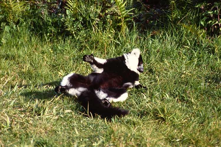 �G���}�L�L�c�l�U��