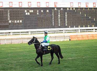 sunny in guangzhou racecourse