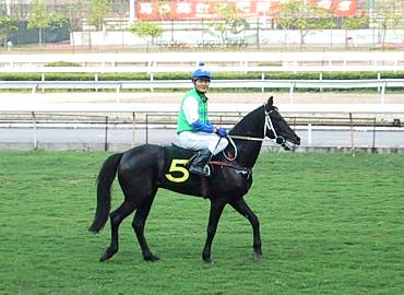 sunny in guangzhou racecourse