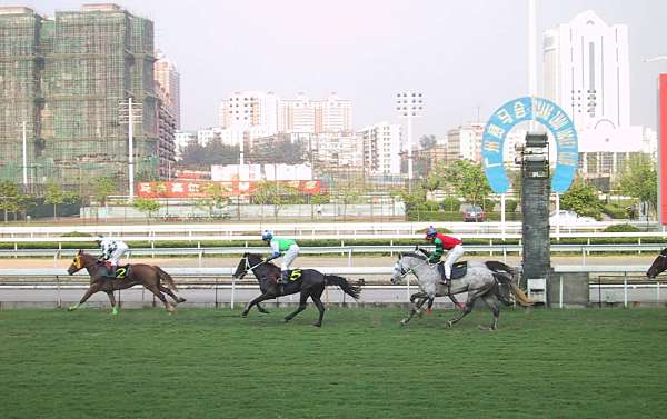 sunny in guangzhou racecourse